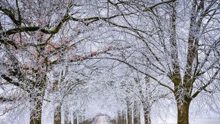 Vremea în februarie 2022. Ce au anunțat meteorologii