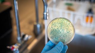 &Icirc;nt&acirc;mplare neobișnuită la Constanța.  O femeie s-a trezit cu apă albastră la robinet: "&Icirc;mi e teamă să mai folosesc apa"