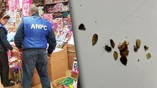 Imagini revoltătoare din brutăriile aflate în Sectorul 5: gândaci, tăvi uzate, cu urme de rugină