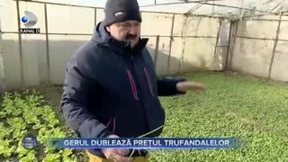 Gerul dubleaza pretul trufandalelor