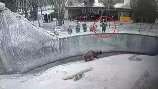 o femeie și-a aruncat fiica în cușca ursului