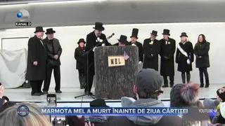 Marmota Mel a murit înainte de ziua cârtiței