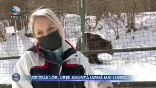 De ziua lor, ursii anunta iarna mai lunga