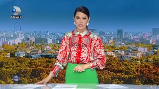 C&acirc;inele care trăiește &icirc;n iglu