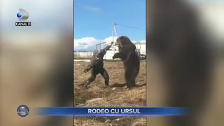Rodeo cu ursul