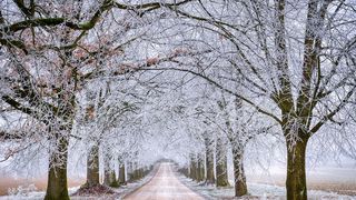 meteo-luna-februarie-roman