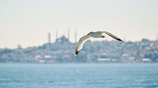 Drum rapid către litoralul bulgăresc. Autoritățile din Sofia vor să construiască Autostrada Mării Negre