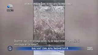 Salvat din apa &icirc;nghețată