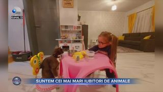 Suntem cei mai mari iubitori de animale
