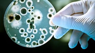 Bilanț Covid-19, 7 februarie. 81 de decese raporate în ultimele 24 de ore