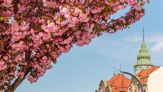 Oradea este singurul oraș din țara noastră care a fost nominalizat pentru titlul de cea mai bună destinație turistică &icirc;n 2022