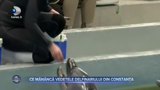 Ce măn&acirc;ncă vedetele delfinariului din Constanța
