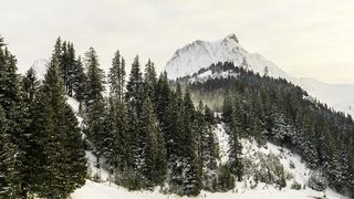 Meteo 8 februarie: ninge la munte, ploi slabe și temperaturi ridicate &icirc;n restul țării