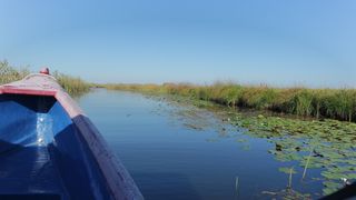 Situaţia din Ucraina afectează turismul în Deltă. A fost amânată prima cursă a navei de croazieră