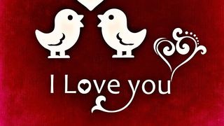 Mesaje, urări şi felicitări frumoase de Valentine's Day 2022