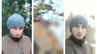 Imagini revoltătoare vin din Bihor: un c&acirc;ine a fost &icirc;mpușcat de către un inginer silvic