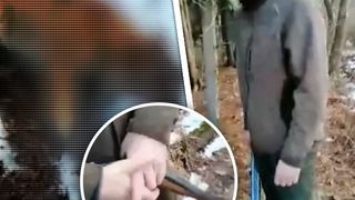 VIDEO | Imagini revoltătoare vin din Bihor: un câine a fost împușcat de către un inginer silvic