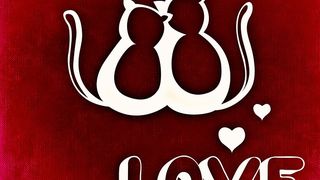 Ziua &Icirc;ndrăgostiţilor, 14 februarie 2022: Mesaje şi urări de dragoste impresionante