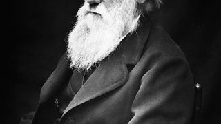 Ziua Darwin, 12 februarie 2022: Ce semnificaţie are această sărbătoare?