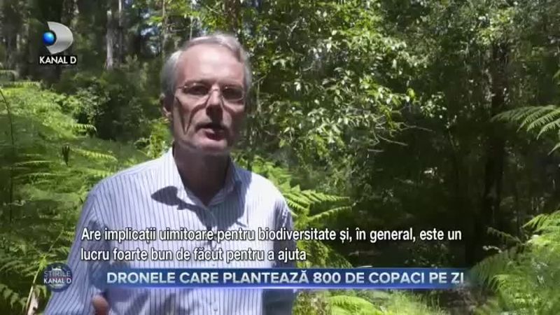 Dronele care plantează 800 de copaci pe zi