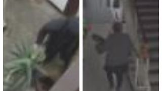 O femeie din Capitală este căutată de polițiști după ce a furat mai multe plante de pe scara unui bloc