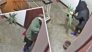 VIDEO | O femeie din Capitală este căutată de polițiști după ce a furat mai multe plante de pe scara unui bloc