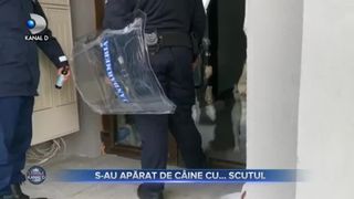 S-au aparat de caine cu scutul