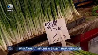 Primavara timpurie a grabit trufandalele