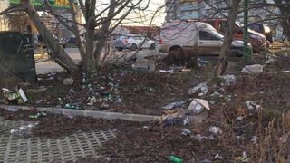 Amendă de 60.000 de lei de la Garda de Mediu pentru Primăria Timișoara din cauza mizeriei de pe străzi