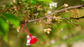 Mesaje de 1 Martie 2022: Urări şi felicitări superbe pe care să le trimiți cu ocazia Mărţişorului! O primăvară minunată!