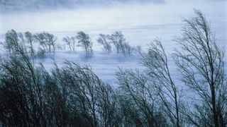 Prahova este sub avertizare de vreme severă. Peste 1650 de locuințe rămase fără curent electric