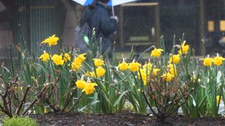 Cum va fi vremea la &icirc;nceputul lunii martie. Vești surprinzătoare de la ANM