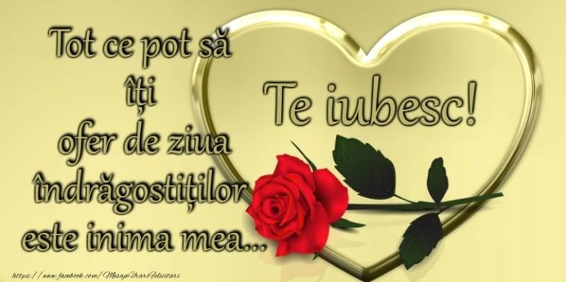 Mesaje de dragoste de Dragobete. Cele mai frumoase SMS-uri, urări și felicitări pe care să le trimiți persoanei iubite în 2022