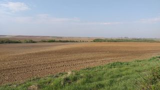 Jumătatea estică se află sub secetă puternică