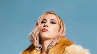 Ce este borelioza, boala cu care a fost diagnosticată Adda