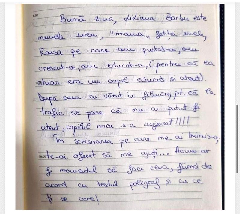 mama-raisei-a-facut-o-scrisoare-pentru-politistul-care-i-a-omorat-fiica-pe-trecerea-de-pietoni-ajutorul-pe-care-il-poti-da-este