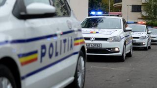 Descoperire șocantă făcută în Pădurea Băneasa. A fost descoperit un geamantan cu arme şi muniţie aflate în stare avansată de degradare