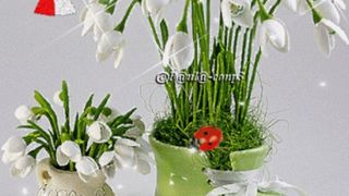 Cele mai frumoase 20 mesaje de 1 Martie 2022. Urări, felicitări și SMS-uri pentru cei dragi