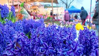 De 1 martie, oamenii s-au adunat în Piața de Flori să aleagă cele mai frumoase aranjamente florale