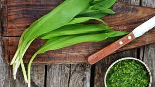 Adevărul despre leurdă, planta care a invadat pieţele