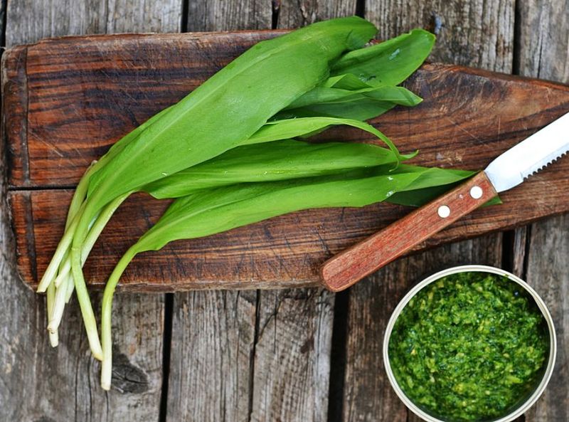 Adevărul despre leurdă, planta care a invadat pieţele