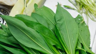 Adevărul despre leurdă, planta care a invadat pieţele