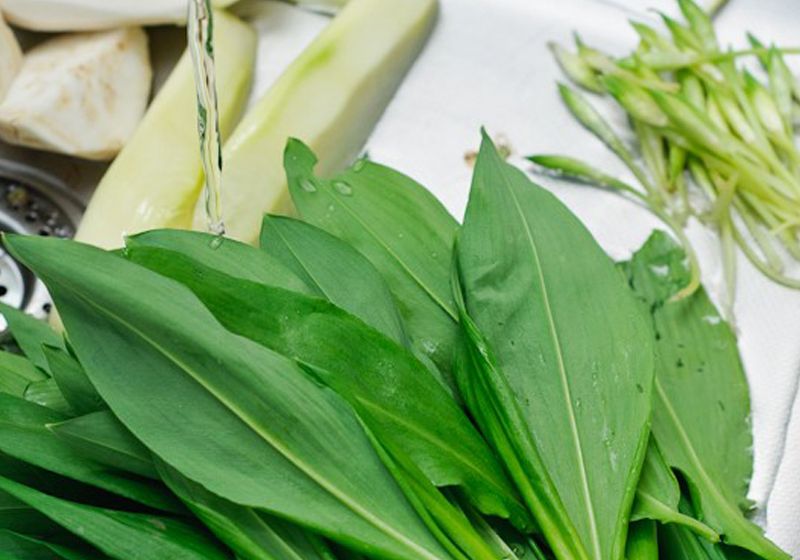 Adevărul despre leurdă, planta care a invadat pieţele