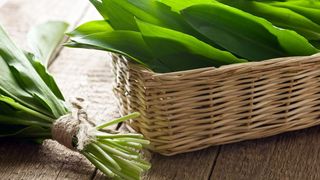 Adevărul despre leurdă, planta care a invadat pieţele