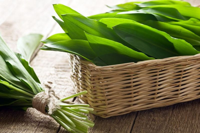 Adevărul despre leurdă, planta care a invadat pieţele