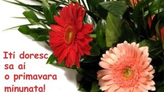 8 Martie 2022 - Ziua Femeii: Cele mai frumoase mesaje, urări şi felicitări cu La mulţi ani!
