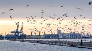 Cele mai mari orașe din Ucraina după populație