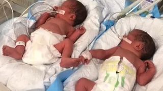 cuplu de americani cer ajutorul pentru bebelușii lor din kiev