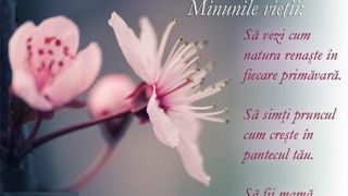 mesaje și felicitări de 8 martie