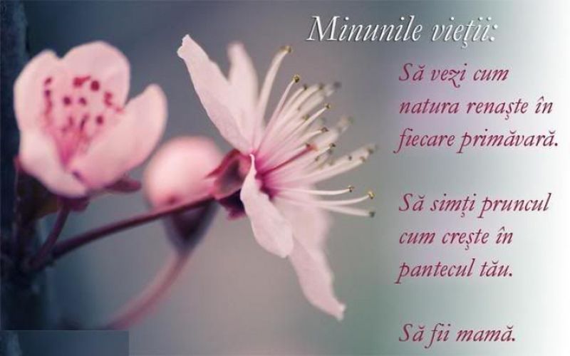 mesaje și felicitări de 8 martie